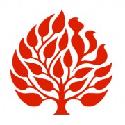 Statement on Poor People’s Campaign