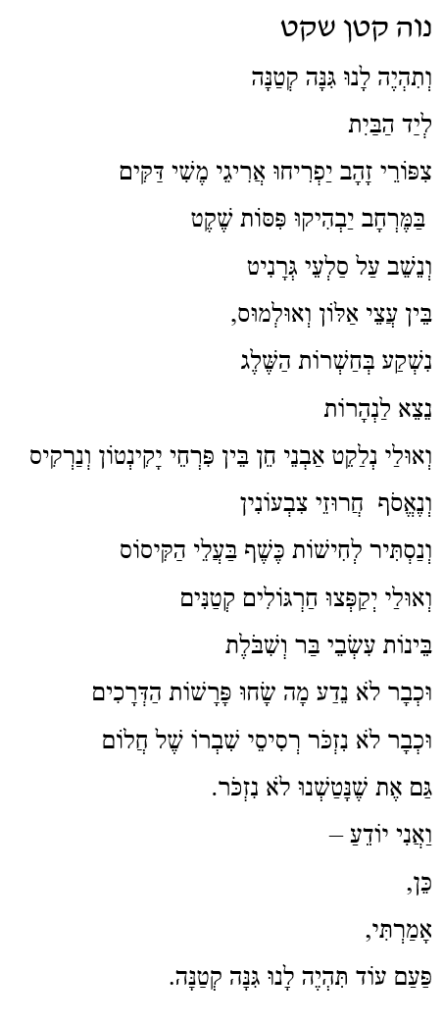 נוה קטן שקט 002